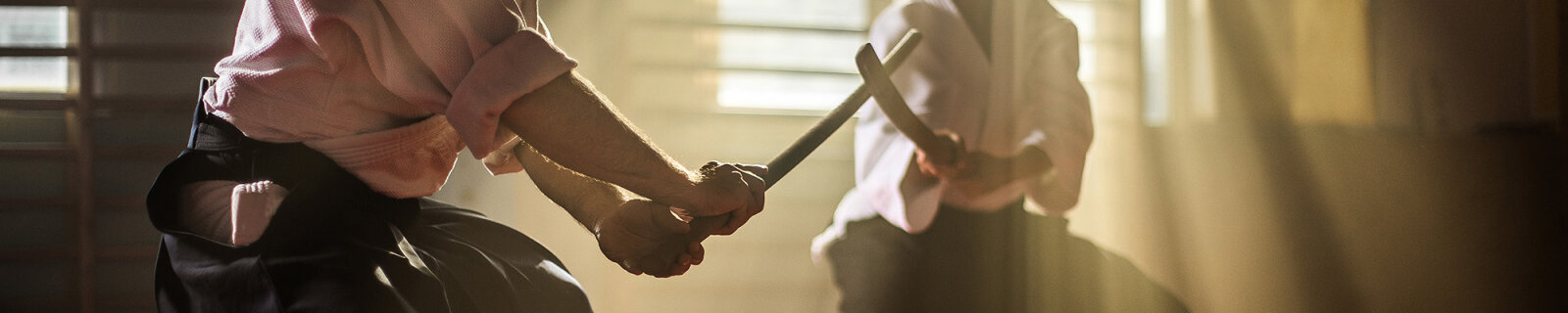 Bokken – das traditionell japanische...