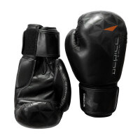 Boxing gloves HIGHLINE black 10 oz