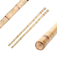 Escrima Deluxe Rattan Wurzelholz - 2er Pack