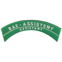 BAE assistant patch