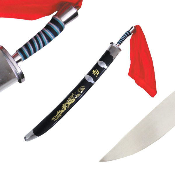 Flexible kung-fu broad sword